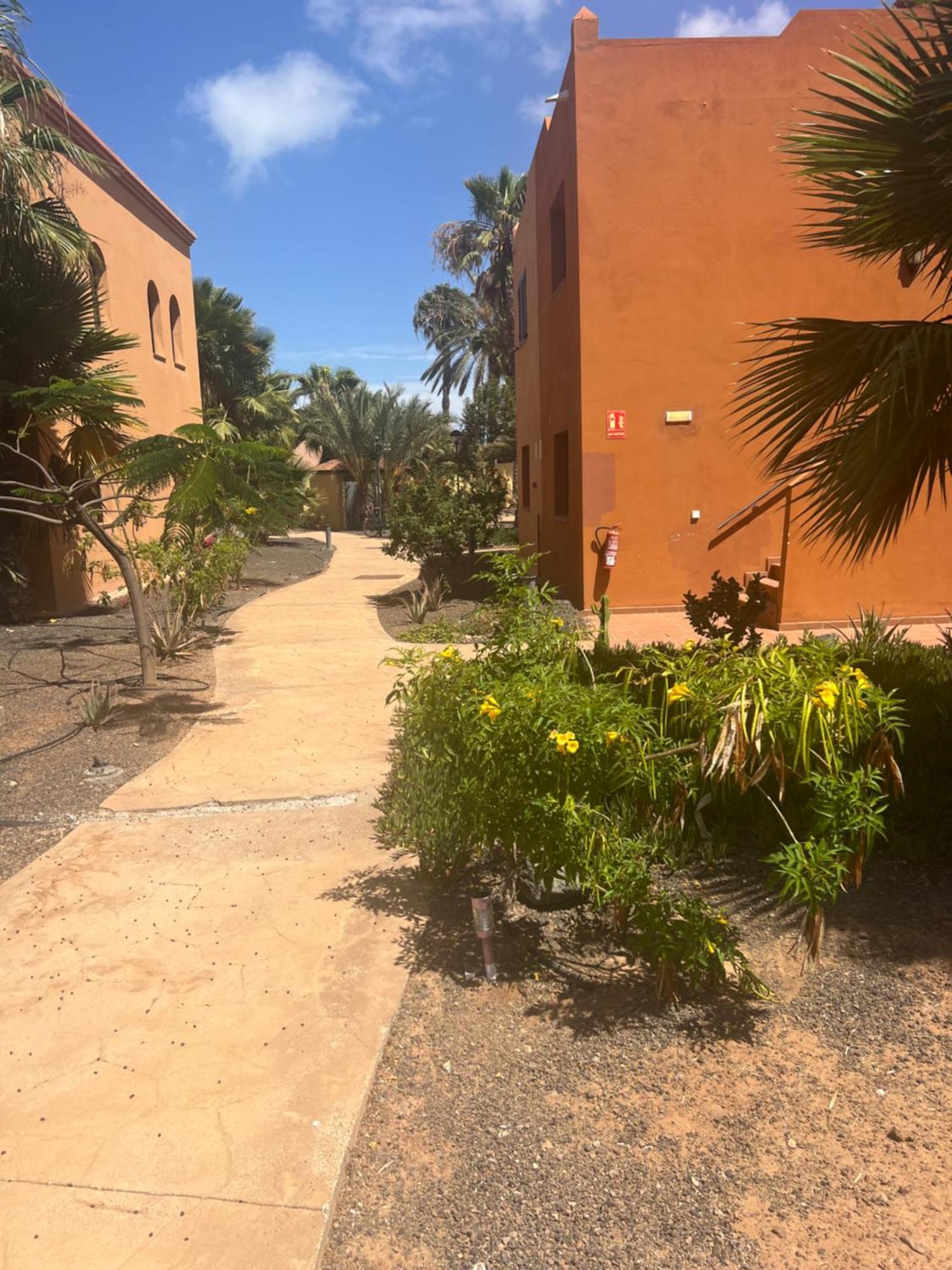 Paraiso Del Mar Corralejo Eksteriør bilde